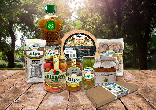 imagen de productos ilipa